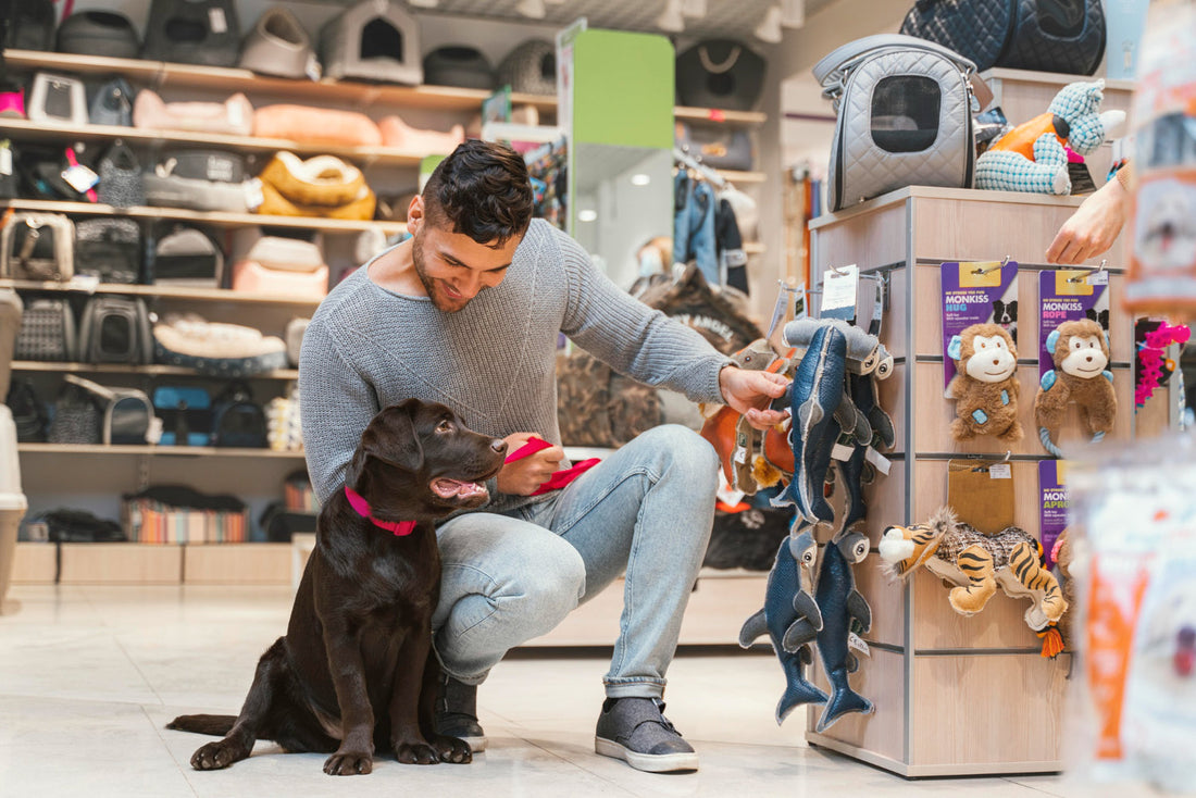 Why Grooming Is Essential for Your Pet’s Health